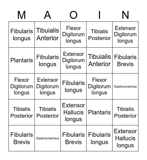 Anatomy Bingo Card