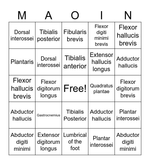 MAOIN Bingo Card