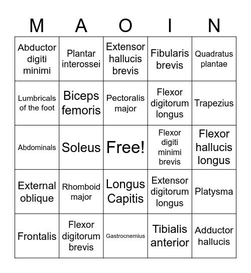 M7 MAOIN BINGO Card