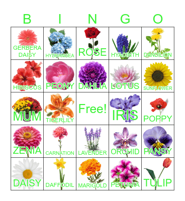 FLOWERS Bingo Card