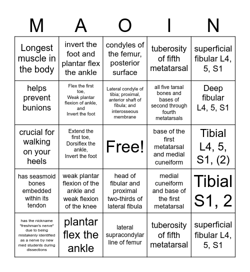Palpation Bingo Card