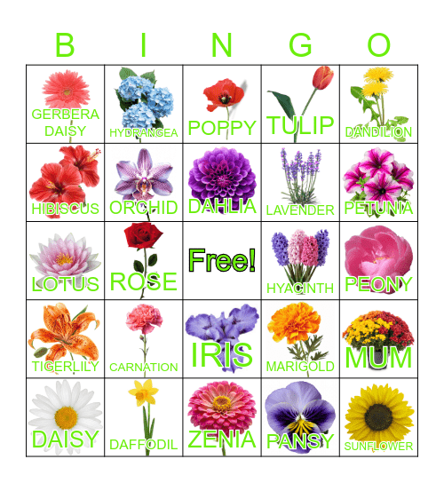 FLOWER Bingo Card