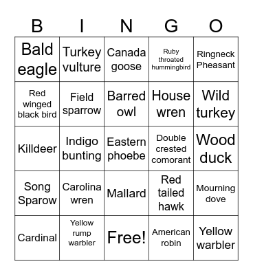 Bird Bingo 05/01/25 Bingo Card