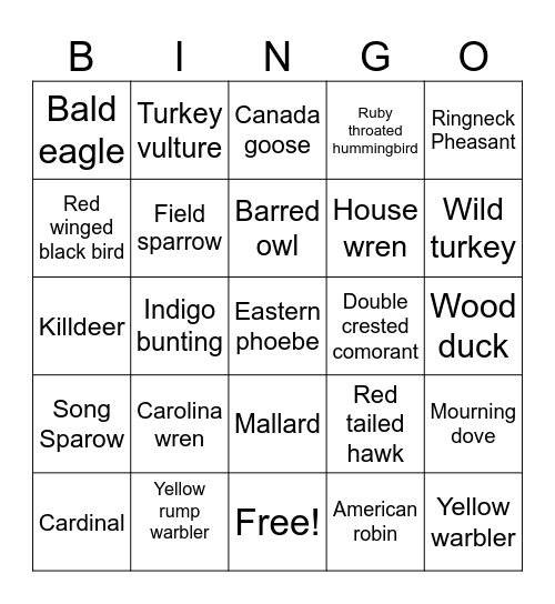 Bird Bingo 05/01/25 Bingo Card