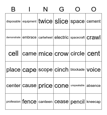 Level C Lesson 22 & 23 Words Bingo Card