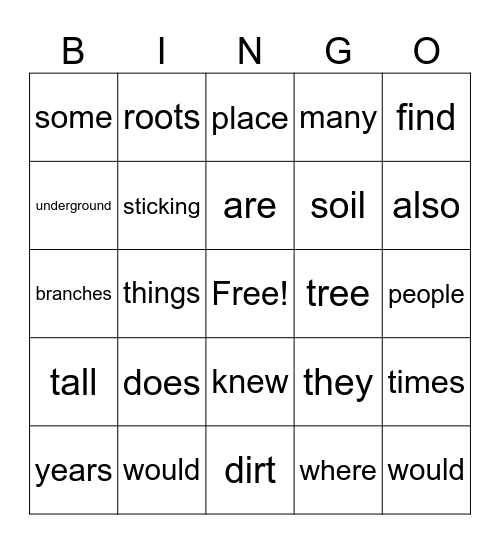 3rd Grade Bingo Card