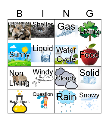 Science Bingo Card
