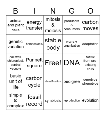 Life and Nature Bingo Card