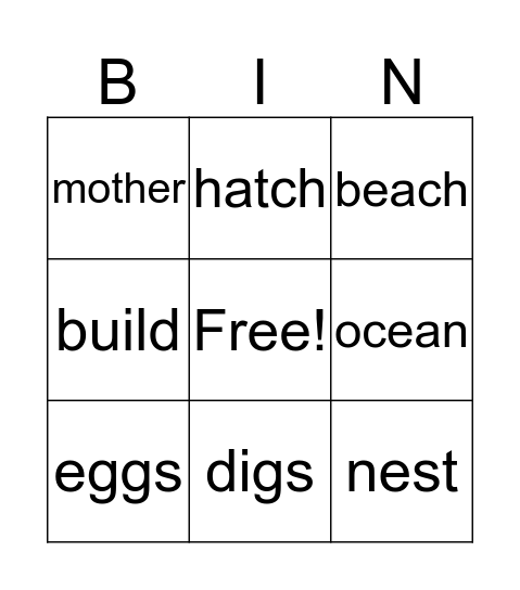 Sea Turtle Bingo Card