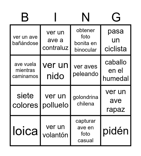 humedal bingo Card