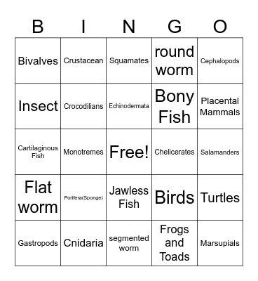 Animal Phylum Bingo Card