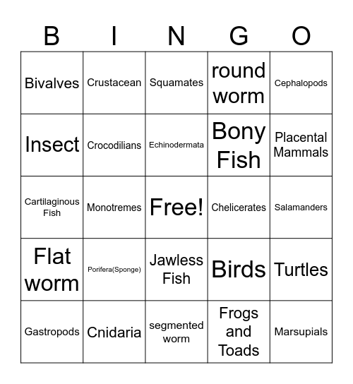 Animal Phylum Bingo Card