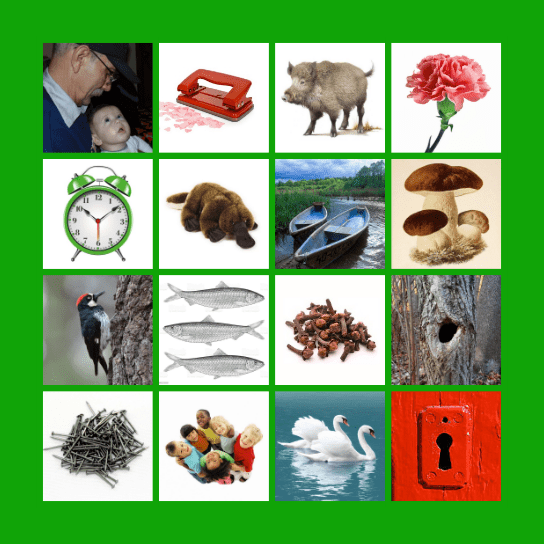 [dź] N+Ś (1) Bingo Card