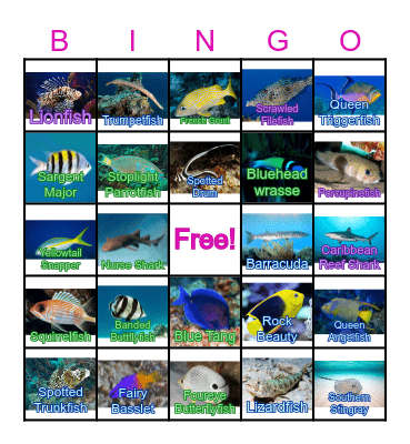 Caribbean Reef Fish Bingo Card