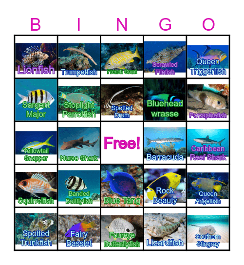 Caribbean Reef Fish Bingo Card