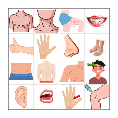 BODY PARTS! Bingo Card