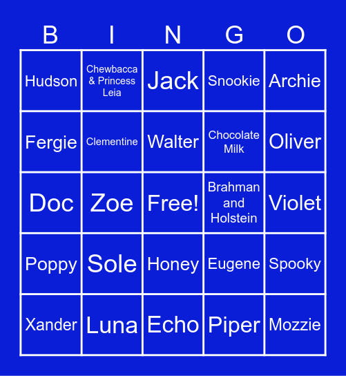 Team Katces Bingo! Bingo Card