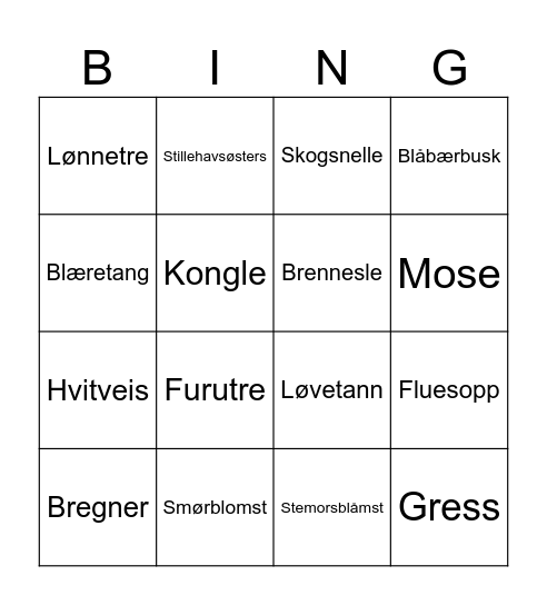 Natur Bingo: Planter Bingo Card