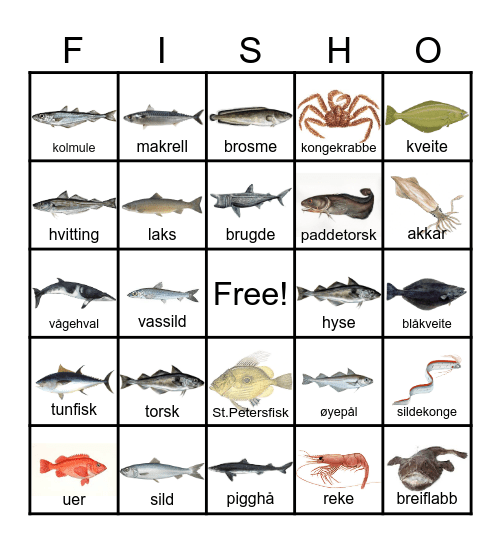 FISH BINGO Card