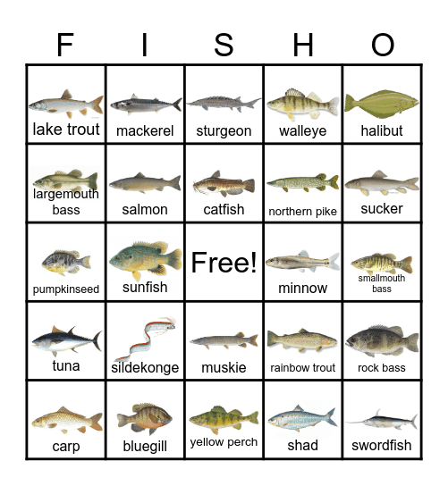 FISH BINGO Card