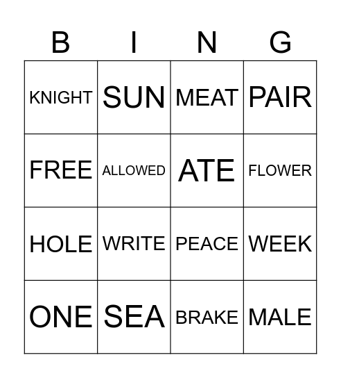 HOMOPHONES Bingo Card