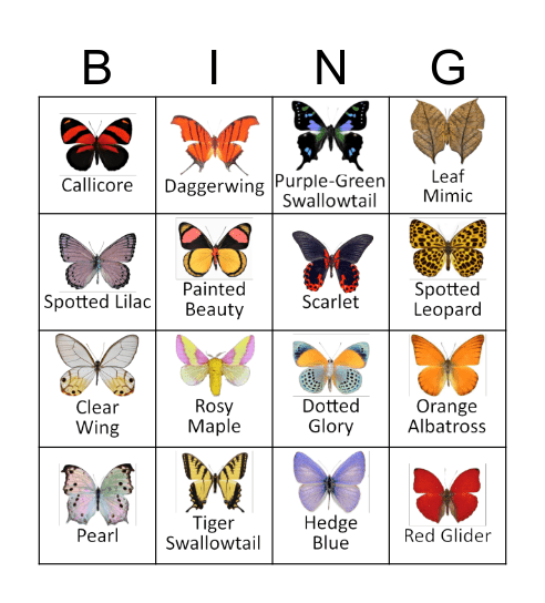 Butterfly Bingo Card