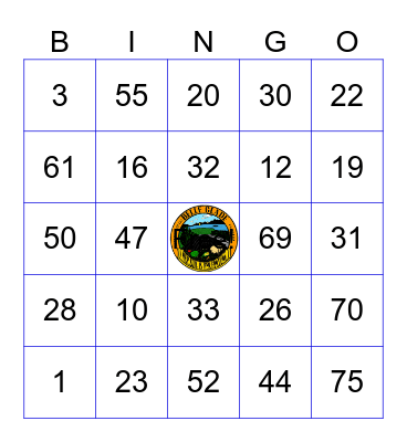 4th of July Bingo Tournament Bingo Card