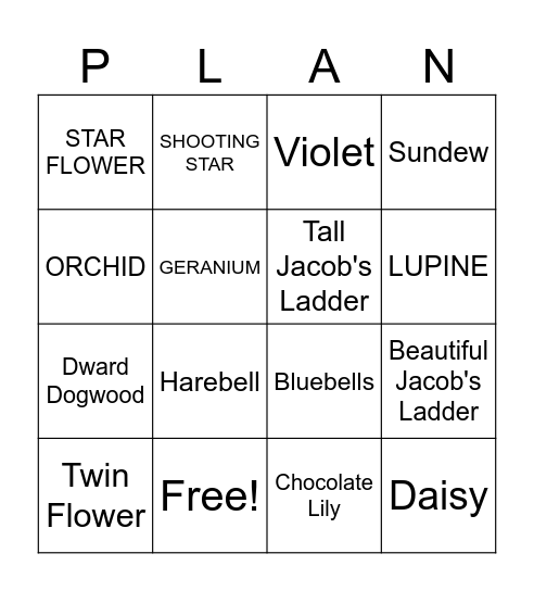 ALASKA Bingo Card