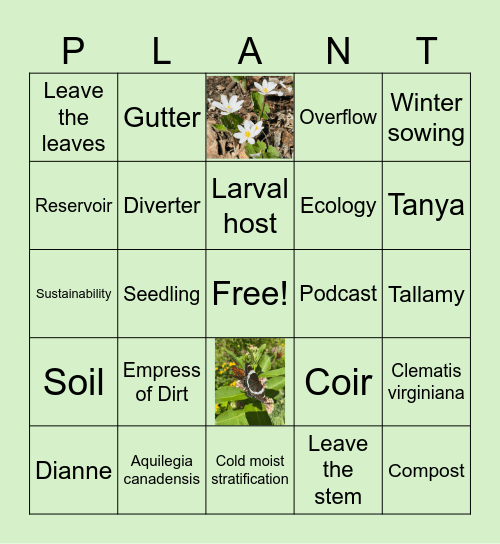 Ecological Gardening Bingo Card