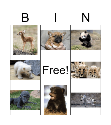 Baby Animals Bingo Card