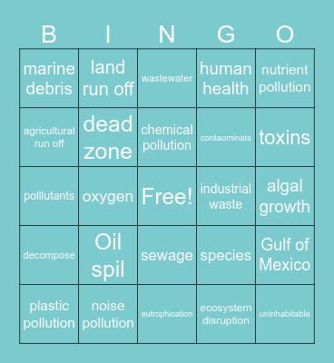 Economics of Ocean Polution Bingo Card