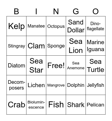 Marine Biology Bingo Card