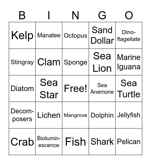 Marine Biology Bingo Card