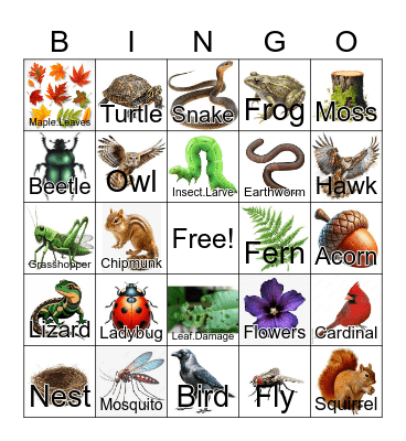 Forest Ecology Bingo Card