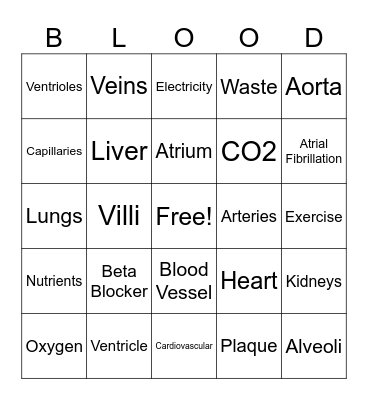 Circulatory System Bingo Card