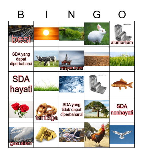 Sumber Daya Alam Bingo Card