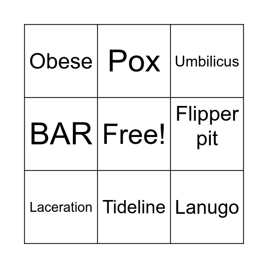 Seal Health Assessment Bingo Card