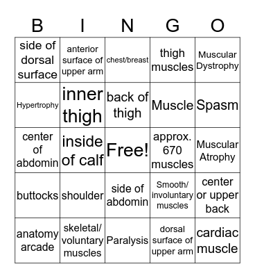 Musular Bingo Card