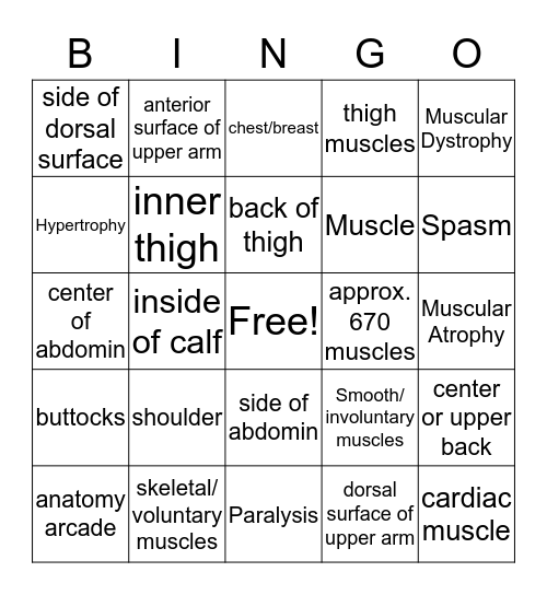 Musular Bingo Card