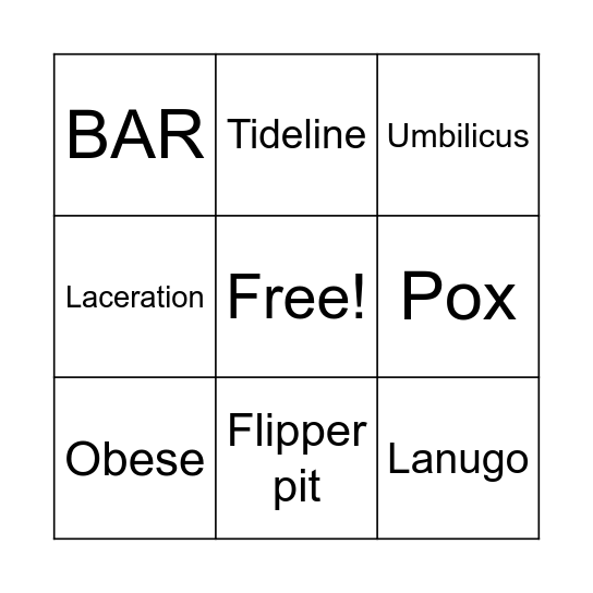 Seal Health Assessment Bingo Card