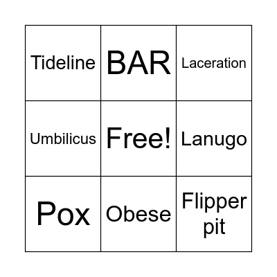 Seal Health Assessment Bingo Card