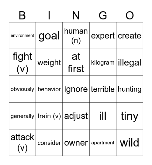 GET READY 1 UNIT 4 Bingo Card