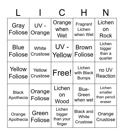 Lichen Bingo! Bingo Card