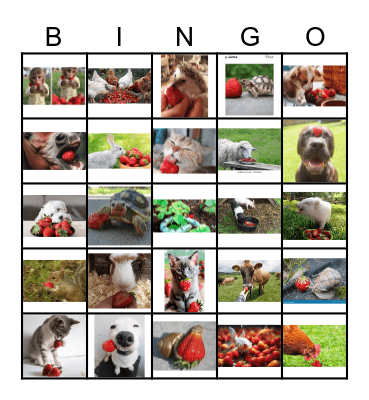 strawberry pets Bingo Card