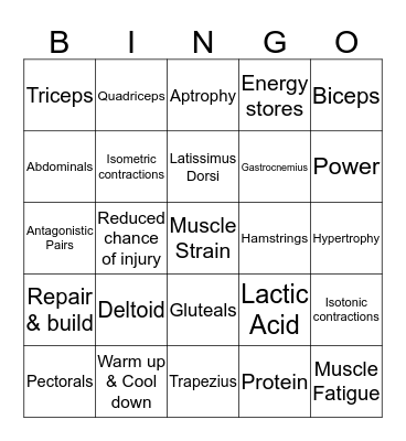 Muscular System Bingo Card