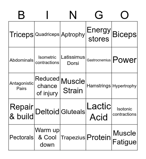 Muscular System Bingo Card