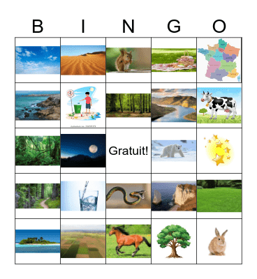6B En pleine nature Bingo Card