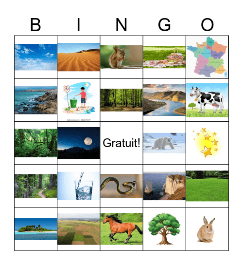 6B En pleine nature Bingo Card