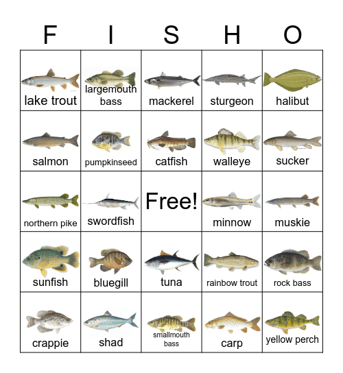 FISH BINGO Card