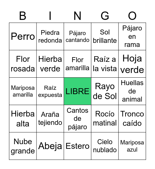 Bingo sin título Bingo Card